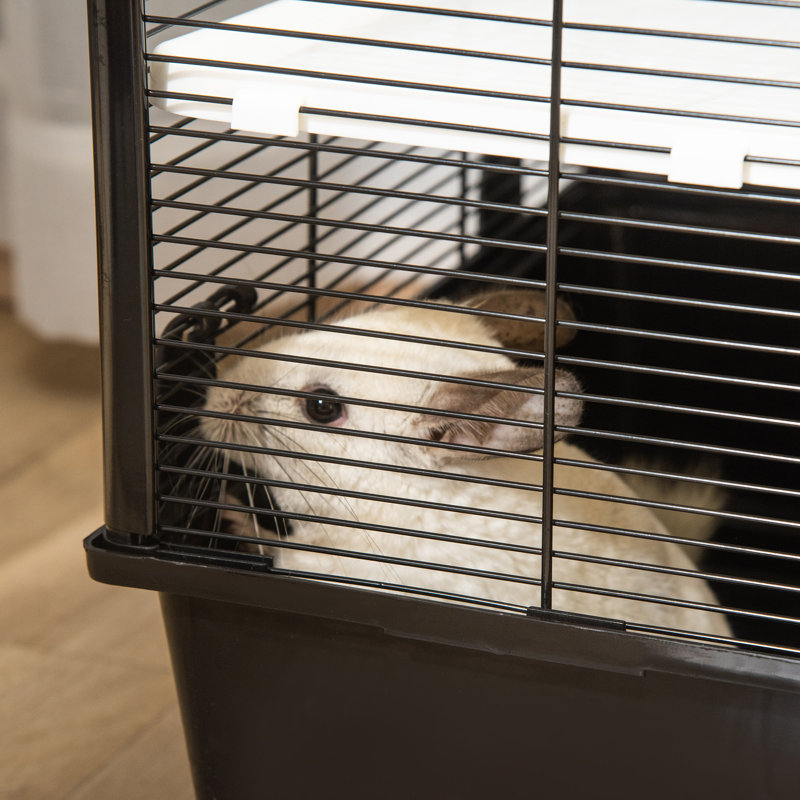 Tucker Murphy Pet ™ Maison de jeu pour animaux de compagnie avec cobayes, furets et chinchillas, avec accessoires