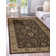Oriental Indoor Rug