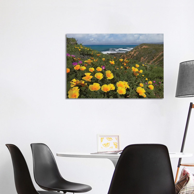 California Poppy Field, Montano De Oro State Park, California 1 Piece Wrapped Canvas Wall Art