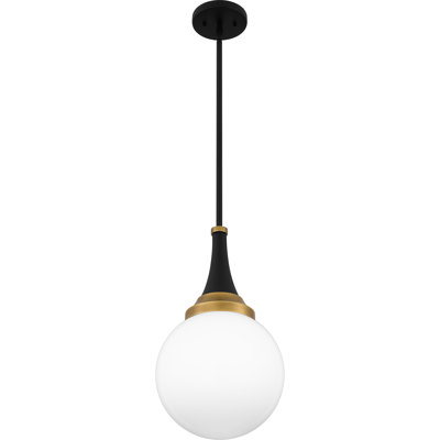 Luminaire suspendu noir mat 1 lumière Carlysle