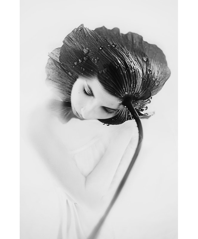 Wrapped Canvas Print, 76.2 cm H x 50.8 cm W