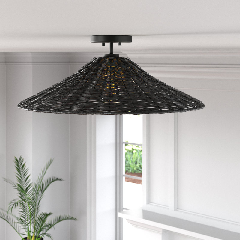 Lilliana 1-Light Ceiling Light in Matte Black, Matte Black