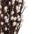 28'' Branch