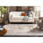 Felty Oriental Gray/Blue/Orange Area Rug-205389011