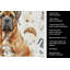 Serviette de cuisine Coffee Bar-1234934760