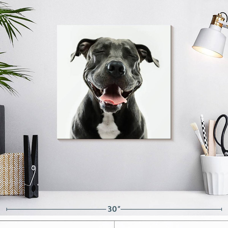Brampt Smiling Black Pitbull, 16" H x 16" W