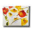 'Sunny Vibrations' by Shirley Novak Canvas Wall Art, 34" x 26"-1717726733