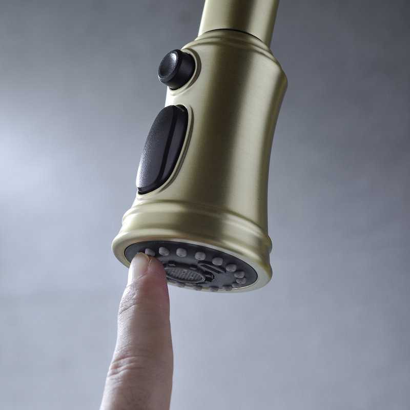 Demana Pull Down Kitchen Faucet, Brushed Gold