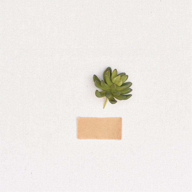 Fausse plante grasse