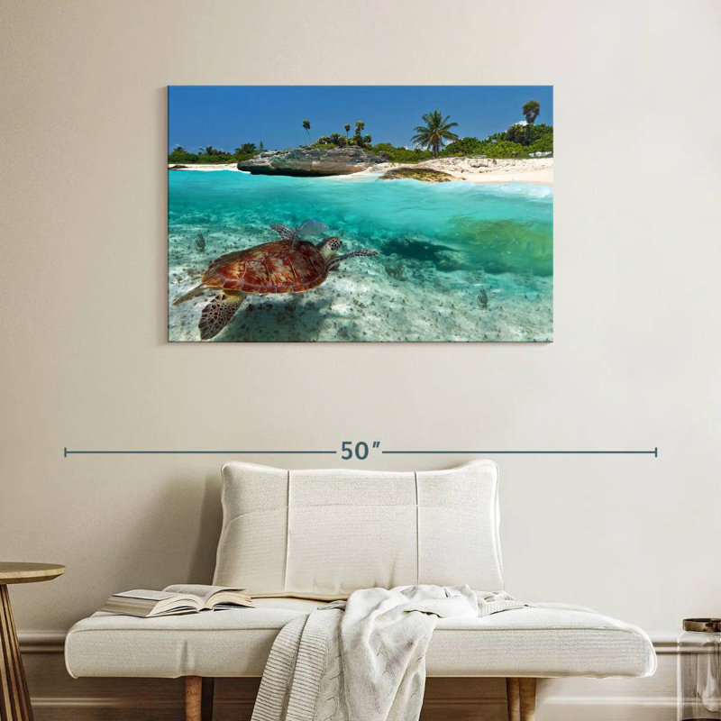 Caraïbes, île des tortues, H 26 po x l 39 po