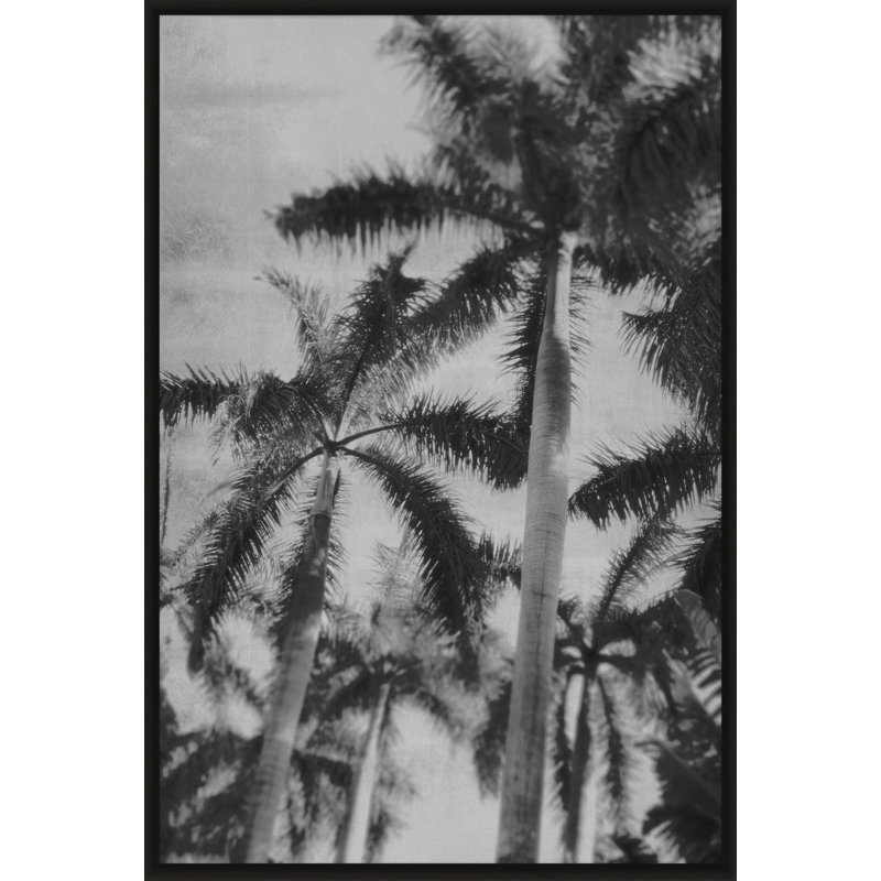«Silver Palms», reproduction de photo encadrée 4 pi