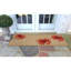 Tapis de cuisine Anchoretta-88596859-26908909
