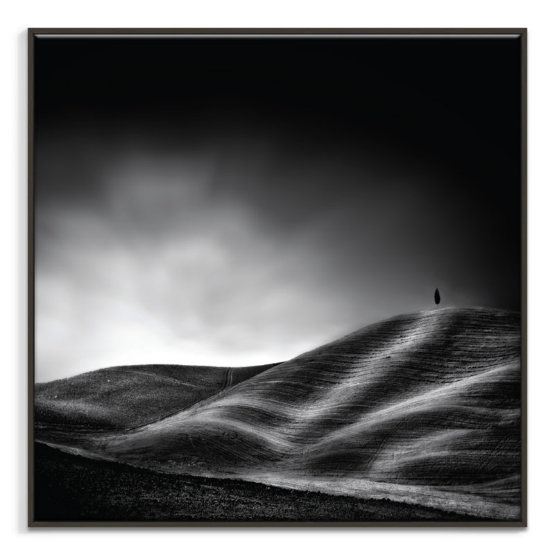 Print on Canvas, Black, 41cm H x 41cm W