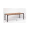 Table Phoenix 100x220cm