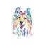 Sheltie de Lisa Whitehouse-impression d’art graphique-52541660-52541662-52541663
