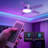 42" 5 - Blade Flush Mount Low Profile Small Room Ceiling Fan with Adjustable RGB Light and Remote-1371265474