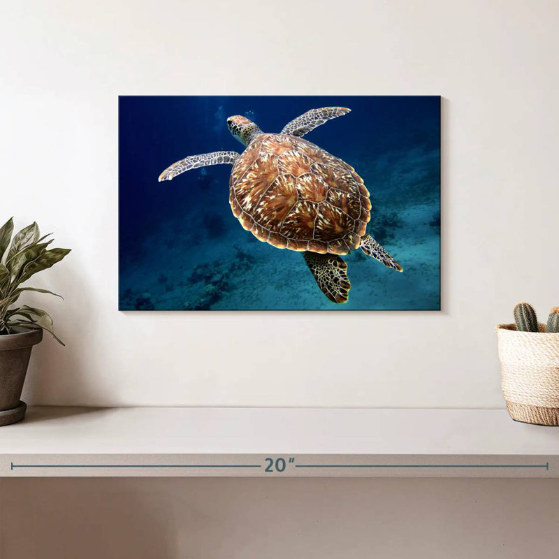 Brampt Swimming Turtle, 8" H x 12" W