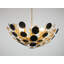 Abbey 8 - Light Chandelier-334104979