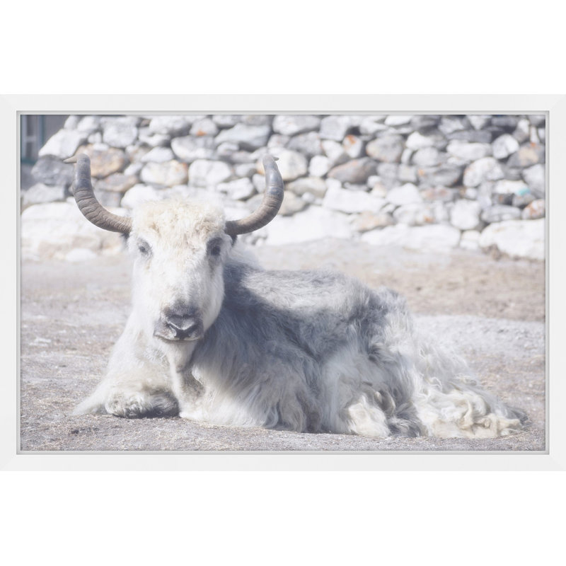 Parvez Taj - Single Picture Frame Print, 41cm H x 61cm W x 3.81cm D