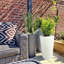 Plant Pot-804733378-788838800