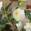 Rubith 120cm Faux Tree