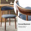 Chaise rembourrée Vicenta de style Mid-Century avec pieds en bois massif-1396283735