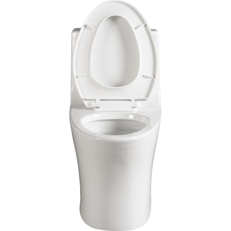 1.1/1.60 GPF Dual-Flush One Piece Toilet, Water-Saving Elongated Comfort Height Floor Mounted, Soft Closing Seat, 1000 Gram Map Flushing Score Toilet