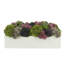 Succulent Sedum in Fiberstone Planter-1228368897-1228368898