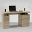 Hollice Writing Desk-14193977