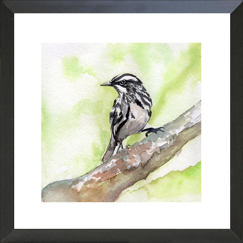 «Black and White Warbler», reproduction de peinture à l'aquarelle, H 18,5 po x l 18,5 po x P 1 po, Papier avec cadre noir