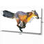 « running fox illustration », peinture-29495632-34272976