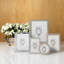 Laurel Glass Picture Frame-43448893-43448896