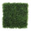 Panneaux muraux de haie artificielle 20 po x 20 po Premium Greenwood