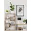 Chelonioidea - Single Picture Frame Print-1552650876