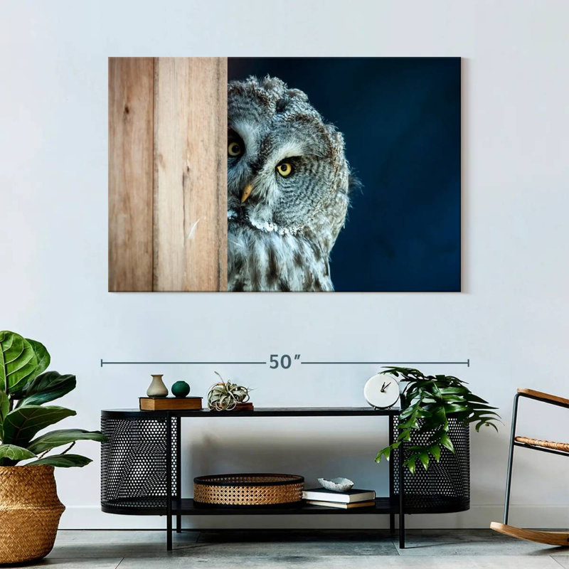 Peeking Owl - impression sur toile tendue, H 32 po x l 48 po x P 1,25 po