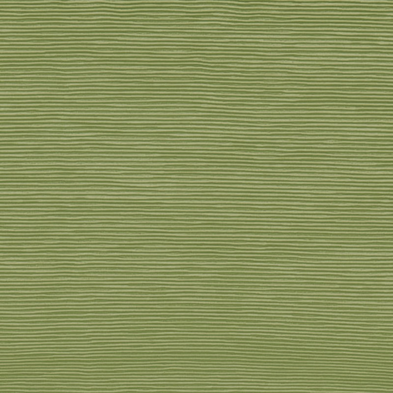 Tissu, Olive