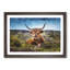 A Resting Highland Cow - Single Picture Frame Painting on MDF-56628404-56628403