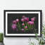 Pink Tulip Flowers - Picture Frame Graphic Art-62803952-62803951