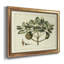 Delicate Botanical IV - reproduction d'art sur toile encadrée-1113424343