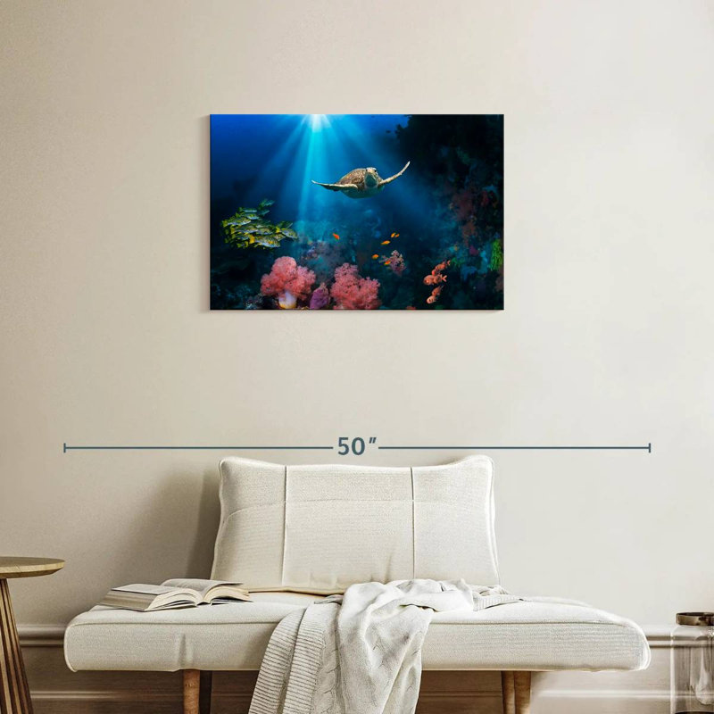 Brampt Ocean Underwater, 20" H x 30" W