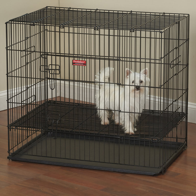 Caisse pour animaux
