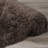 Petrey Indoor Rug-1994425916