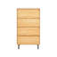 Niem 60cm W 4 - Drawer Chest of Drawers