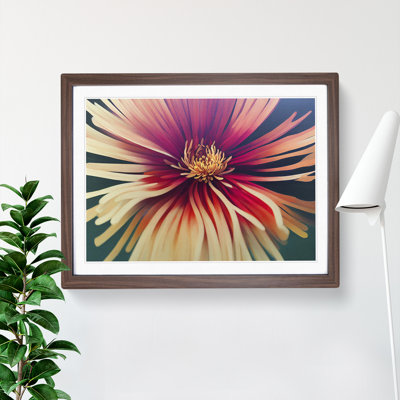 Chrysanthemum Flower Vol.2 - Framed Print