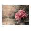 Hortensia en lumière rétro II - impression sur bois d'hortensia - sur bois de pin naturel-404032442