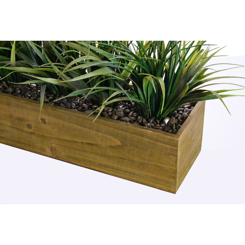 12" Tall Floor Foliage Grass in Pot