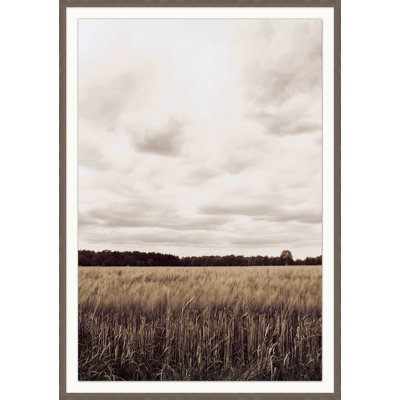 Muted Fields Wall Art & Signage