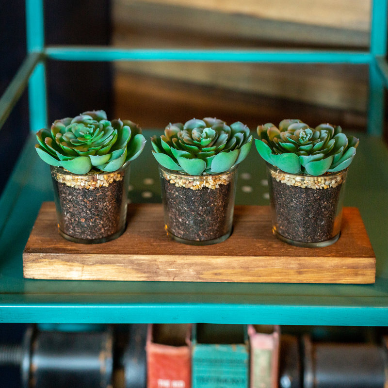 5'' Faux Succulent Plant in Glass Pot