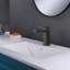 Robinet de salle de bain à un trou