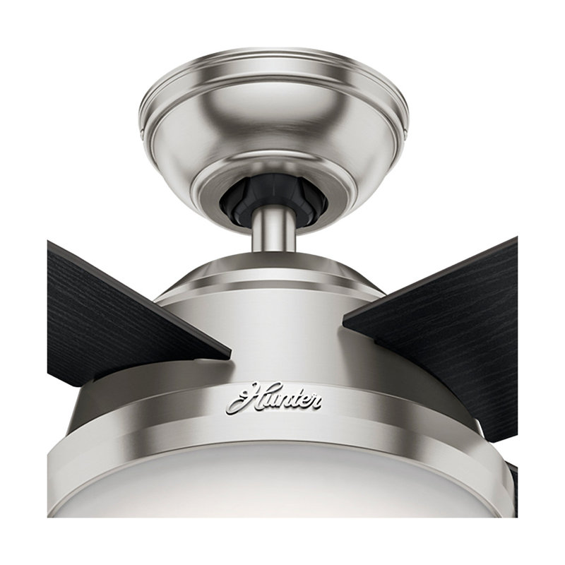 112cm Ceiling Fan with Light Kit, Black Oak/Chocolate, Brushed Nickel